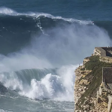 Daire R. Jose Pedro - 2 Nazaré