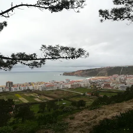 R. Jose Pedro - 2 Daire